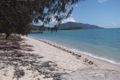 Property photo of 5 Olive Street Dingo Beach QLD 4800