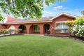 Property photo of 51 White Avenue Lockleys SA 5032