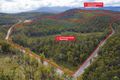 Property photo of 1166 Prossers Road Underwood TAS 7268