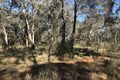 Property photo of 539 Razorback Road Running Stream NSW 2850