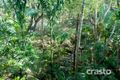 Property photo of 1634-1636 Currumbin Creek Road Currumbin Valley QLD 4223