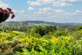 Property photo of 562 Kenilworth Skyring Creek Road Carters Ridge QLD 4563