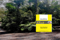 Property photo of 5 Mundora Road Springbrook QLD 4213