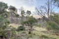 Property photo of LOT 1 Pipers River Road Pipers River TAS 7252