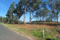 Property photo of 14 Yorkshire Close Catherine Field NSW 2557