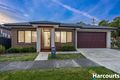 Property photo of 19 Tanglewood Road Rowville VIC 3178