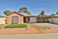 Property photo of 14/2724 Fourteenth Street Irymple VIC 3498