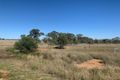 Property photo of 1 Lurline Road Comet QLD 4702