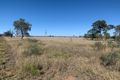 Property photo of 1 Lurline Road Comet QLD 4702