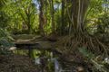 Property photo of 18 Veronica Drive Tallai QLD 4213