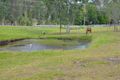 Property photo of 2 Westbourne Drive Wights Mountain QLD 4520