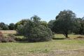 Property photo of 19 Magiltan Drive Strathbogie VIC 3666