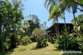 Property photo of 145 Euluma Creek Road Julatten QLD 4871