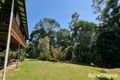 Property photo of 145 Euluma Creek Road Julatten QLD 4871