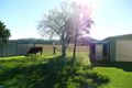 Property photo of 1068 Wingham Road Wingham NSW 2429