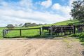 Property photo of Daniels Road Wistow SA 5251