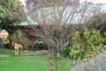 Property photo of 64 Mount View Road Boronia VIC 3155