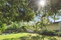 Property photo of 50 Kissing Point Road Turramurra NSW 2074