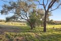 Property photo of 29 Latrobe Road Yarrambat VIC 3091