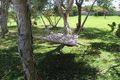 Property photo of 28 Tamarindus Street Marcoola QLD 4564