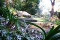 Property photo of 208 Settlers Road Lower Macdonald NSW 2775