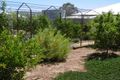 Property photo of 9 Radiata Street Wirrabara SA 5481