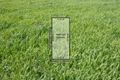 Property photo of 54 Haig Street Box Hill South VIC 3128