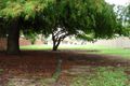 Property photo of 28 Twelfth Avenue Palm Beach QLD 4221