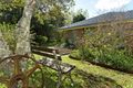 Property photo of 29 Loop Road Lower Beechmont QLD 4211