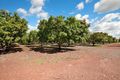 Property photo of 73 Stephen Road Marrakai NT 0822