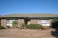 Property photo of 41 Hilditch Drive Green Fields SA 5107