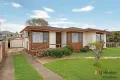 Property photo of 45 Grafton Street Greystanes NSW 2145