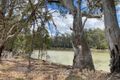 Property photo of 38 Riverview Drive Barham NSW 2732