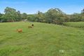 Property photo of 328 Mount Brisbane Road Mount Pleasant QLD 4521
