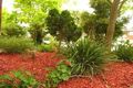 Property photo of 3/57-59 Ocean Street Penshurst NSW 2222