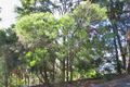 Property photo of 26 Neptune Street Umina Beach NSW 2257