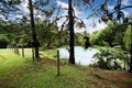 Property photo of 275 Diddillibah Road Diddillibah QLD 4559
