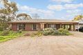 Property photo of 88 Bethesda Road Lewiston SA 5501