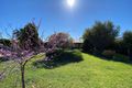 Property photo of 21 Silvermere Terrace Modbury Heights SA 5092