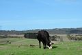 Property photo of 542 Back Valley Road Back Valley SA 5211
