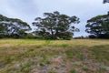 Property photo of 5 Morgans Road Bemm River VIC 3889