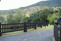 Property photo of 42 Gray Road Illinbah QLD 4275