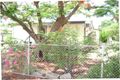 Property photo of 12 Doris Street Cloncurry QLD 4824