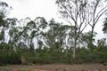 Property photo of LOT 16 Brewer Street Angus NSW 2765