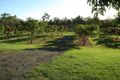 Property photo of 312 Muller Road Baffle Creek QLD 4674