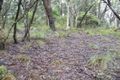 Property photo of 4 Innes Road Mount Victoria NSW 2786