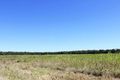 Property photo of 123 Burtons Road Antigua QLD 4650