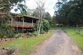 Property photo of 99 Limerick Drive Witheren QLD 4275