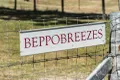 Property photo of 348 Linkes Lane Mount Beppo QLD 4313