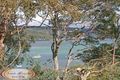 Property photo of 11 Moombara Crescent Port Hacking NSW 2229